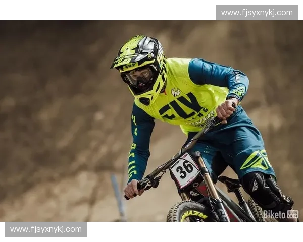 世界杯焦点：巴西队荣耀征程与绿茵传奇全景解析